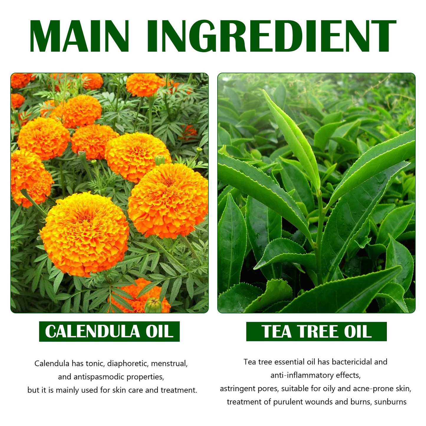 pimple patches - get rid of that shit